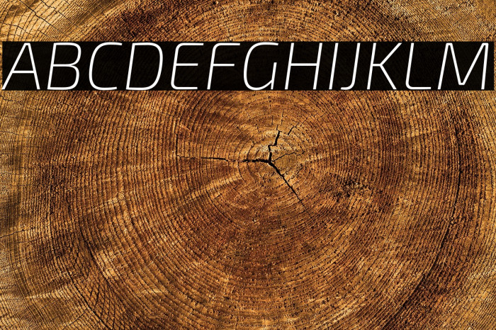 Exo 2 Extra Light Italic Example 3