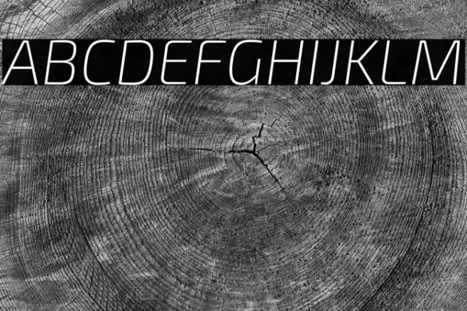 Exo 2 Extra Light Italic Font examples