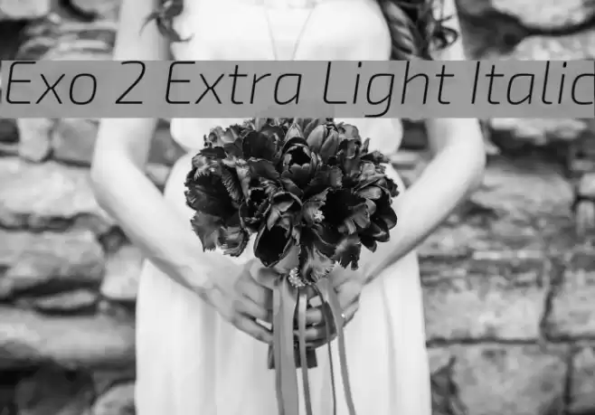 Exo 2 Extra Light Italic Font examples