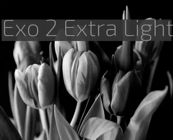 Exo 2 Extra Light Font examples
