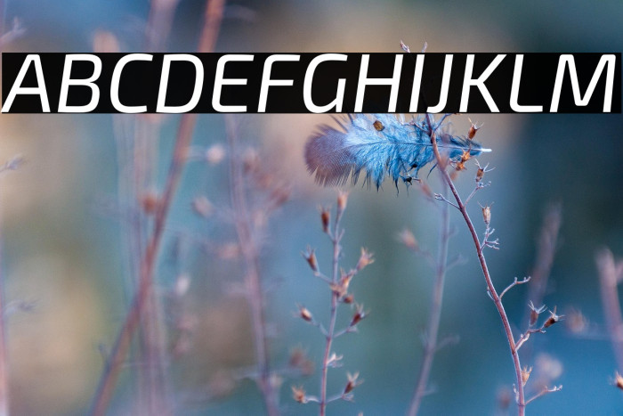 Exo 2 Italic Example 3