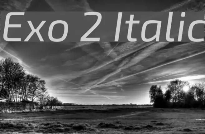 Exo 2 Italic Font examples