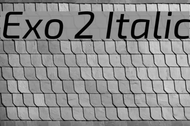 Exo 2 Italic Font examples