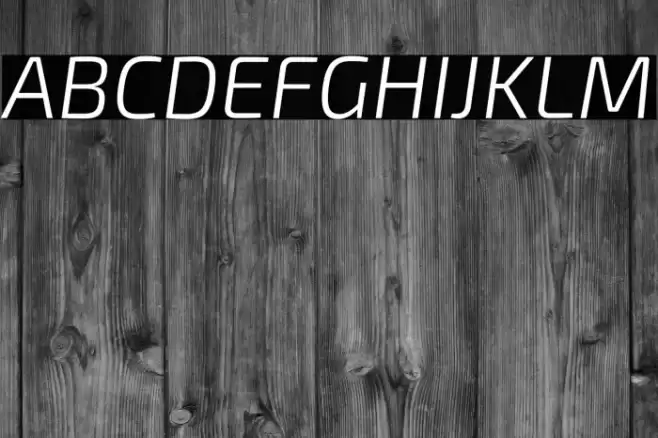 Exo 2 Light Italic Font examples