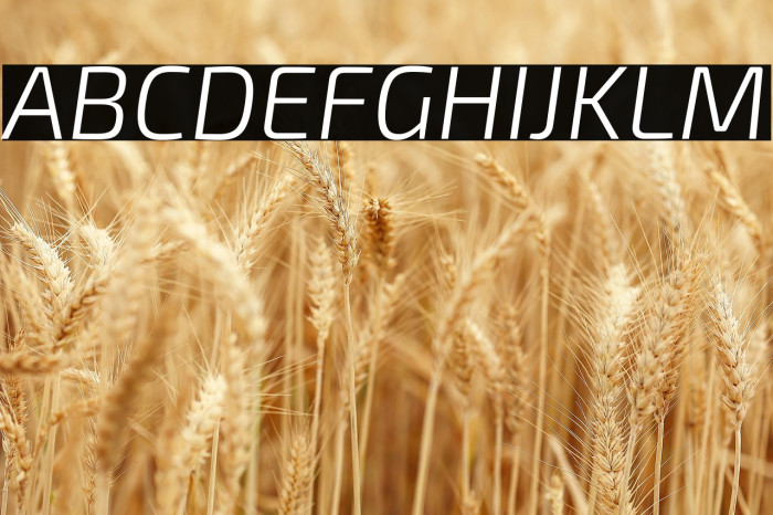 Exo 2 Light Italic Example 3