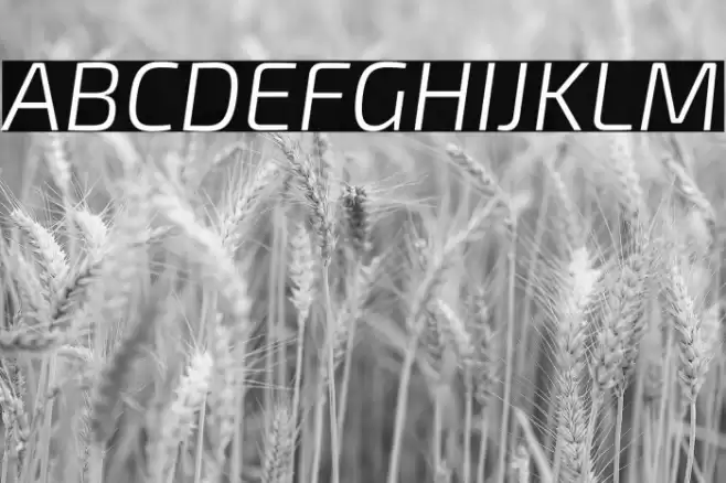 Exo 2 Light Italic Font examples