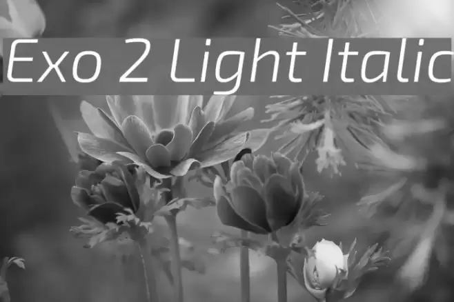 Exo 2 Light Italic Font examples