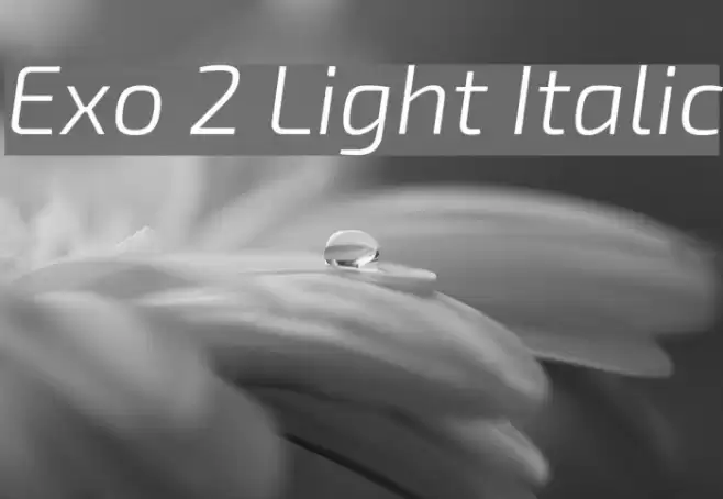 Exo 2 Light Italic Font examples