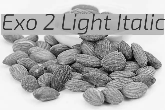 Exo 2 Light Italic Font examples