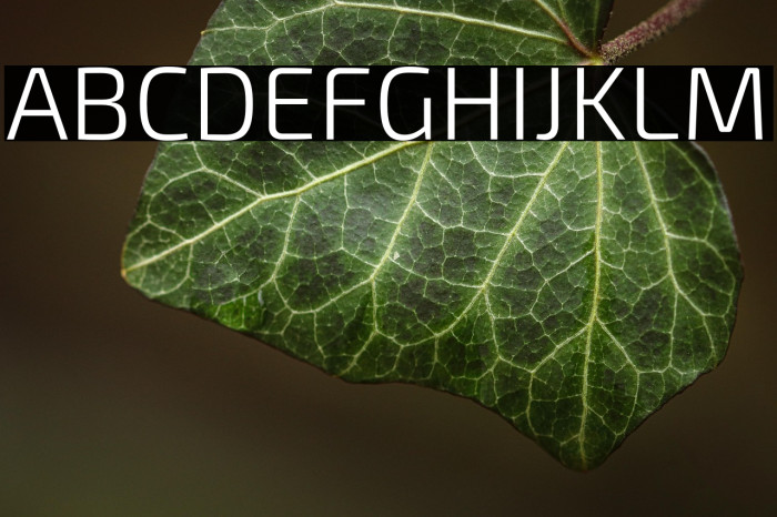 Exo 2 Light Example 3