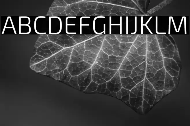 Exo 2 Light Font examples