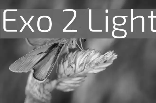 Exo 2 Light Font examples
