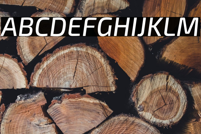 Exo 2 Medium Italic Example 2