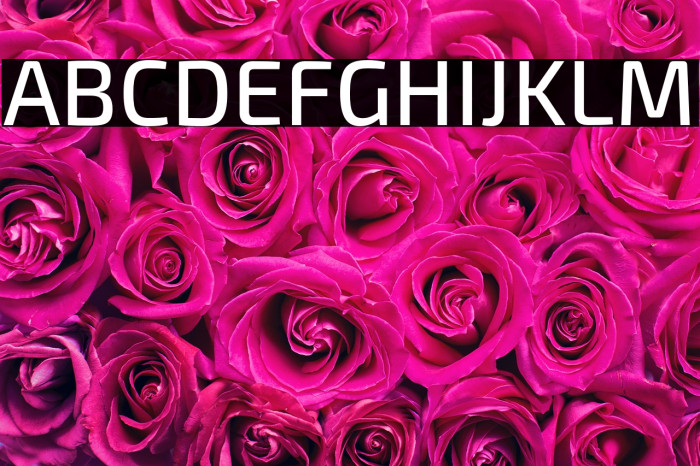 Exo 2 Medium Example 1