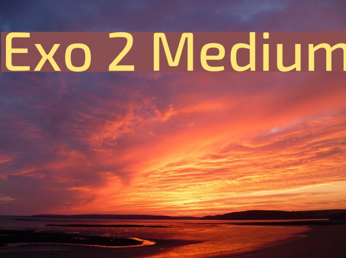 Exo 2 Medium Font examples