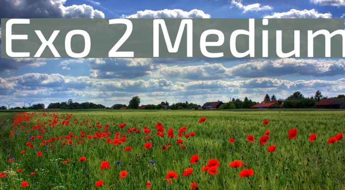 Exo 2 Medium Font examples