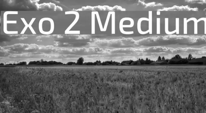 Exo 2 Medium Font examples