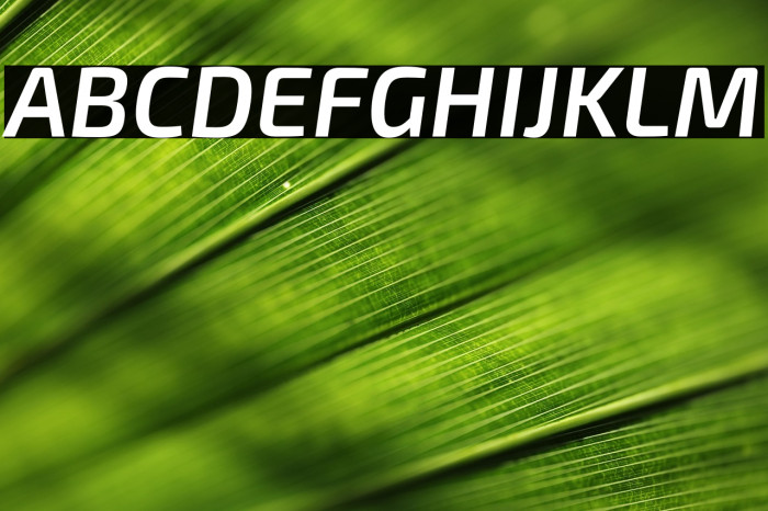 Exo 2 Semi Bold Italic Example 2