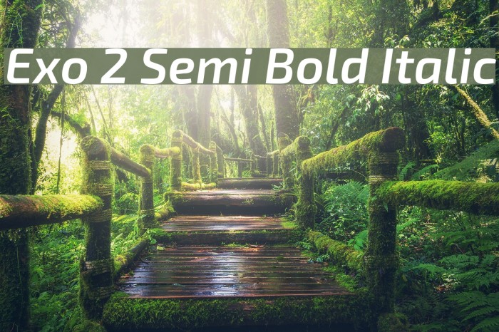 Exo 2 Semi Bold Italic Font examples