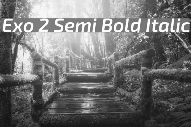 Exo 2 Semi Bold Italic  examples