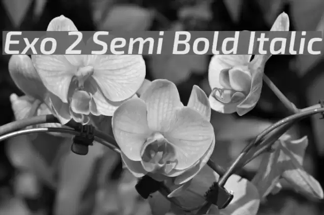 Exo 2 Semi Bold Italic  examples