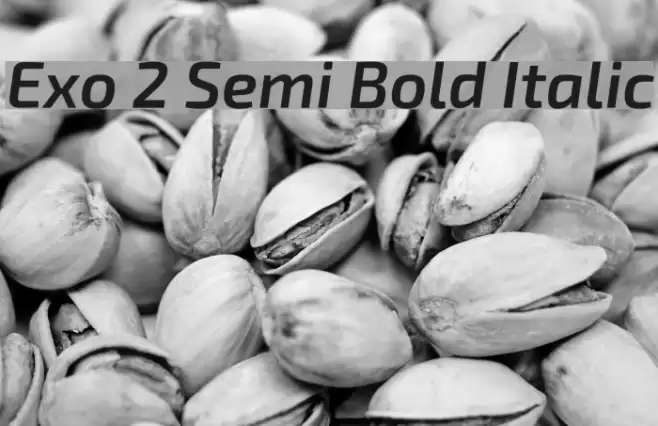 Exo 2 Semi Bold Italic  examples