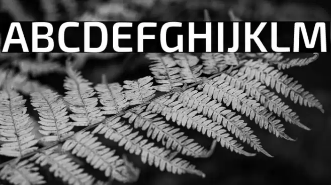 Exo 2 Semi Bold Font examples