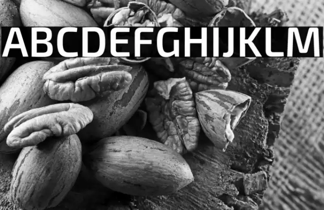 Exo 2 Semi Bold Font examples