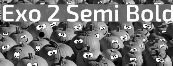 Exo 2 Semi Bold Font examples