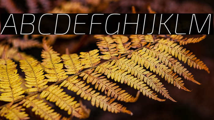 Exo 2 Thin Italic Example 3