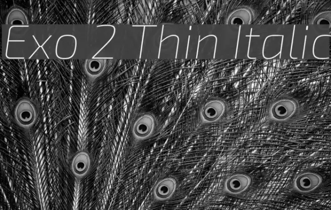 Exo 2 Thin Italic  examples