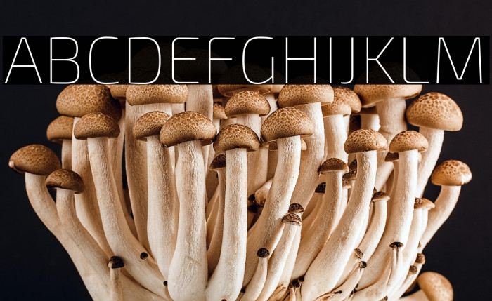 Exo 2 Thin Example 2