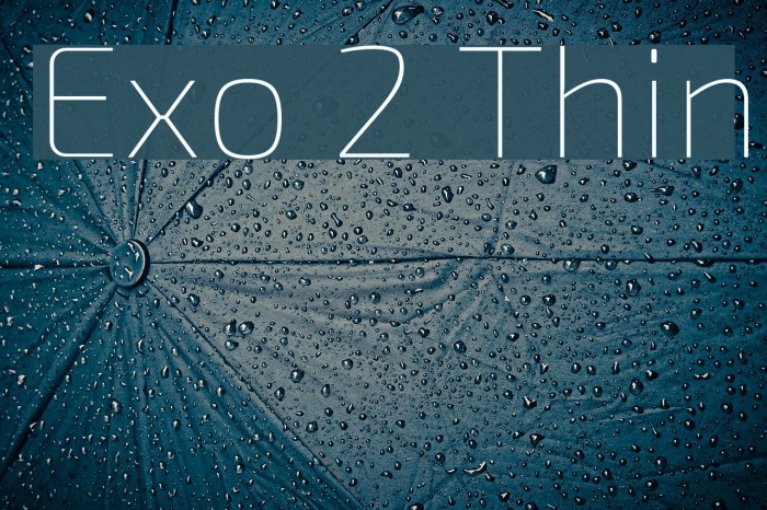 Exo 2 Thin Font examples