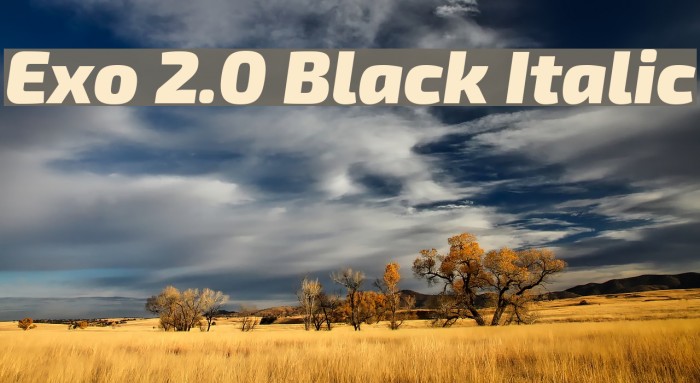 Exo 2.0 Black Italic Font examples