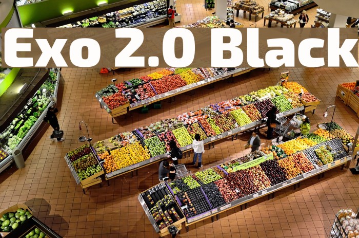 Exo 2.0 Black Example 2