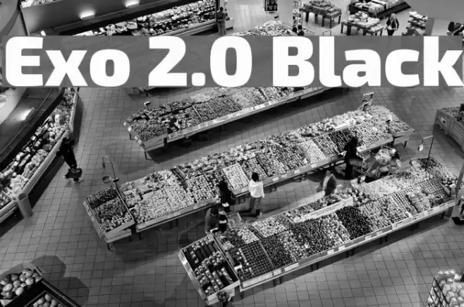 Exo 2.0 Black Font examples