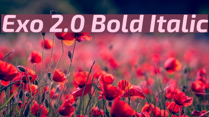 Exo 2.0 Bold Italic Example 2