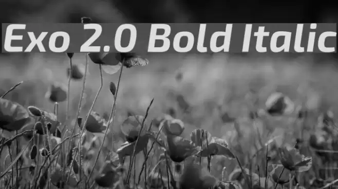 Exo 2.0 Bold Italic Font examples