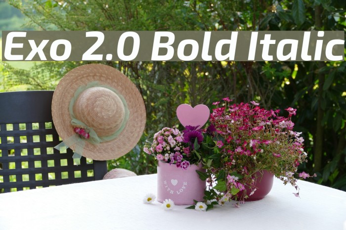 Exo 2.0 Bold Italic Example 3