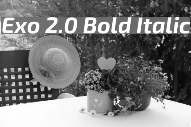 Exo 2.0 Bold Italic Font examples