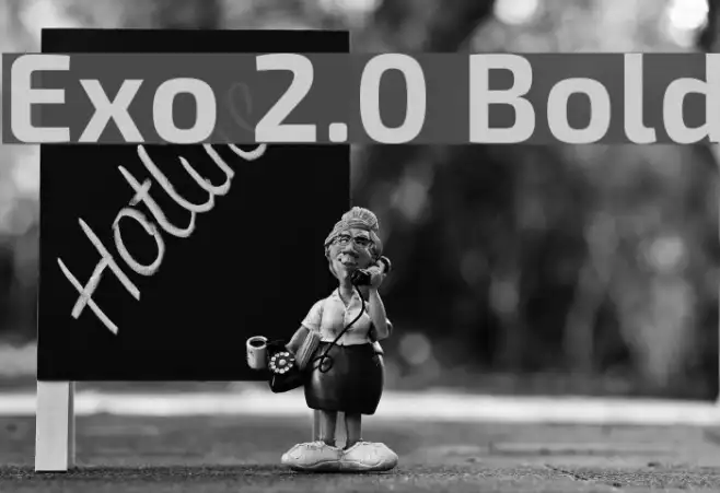 Exo 2.0 Bold Example 2