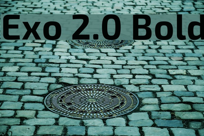 Exo 2.0 Bold Font examples