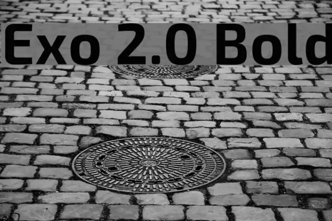 Exo 2.0 Bold Example 3
