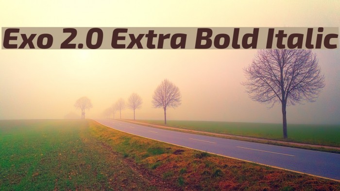 Exo 2.0 Extra Bold Italic Font examples
