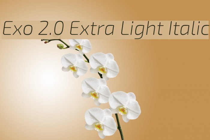 Exo 2.0 Extra Light Italic Font examples