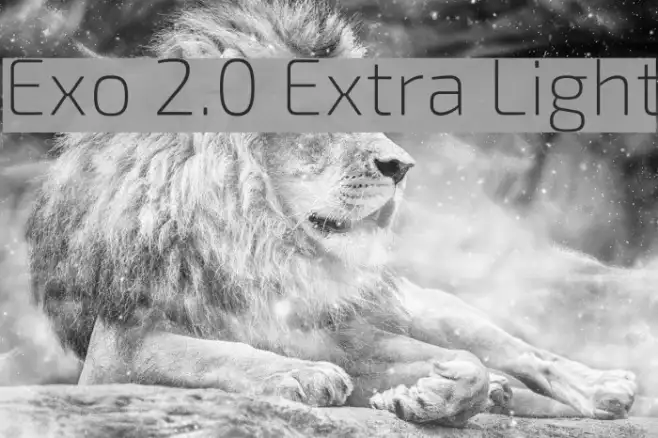 Exo 2.0 Extra Light Example 2