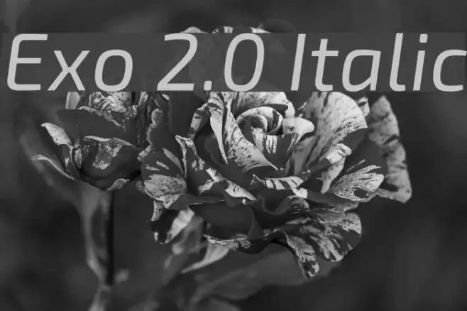 Exo 2.0 Italic Example 2