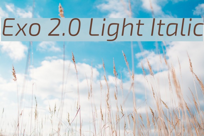 Exo 2.0 Light Italic Font examples