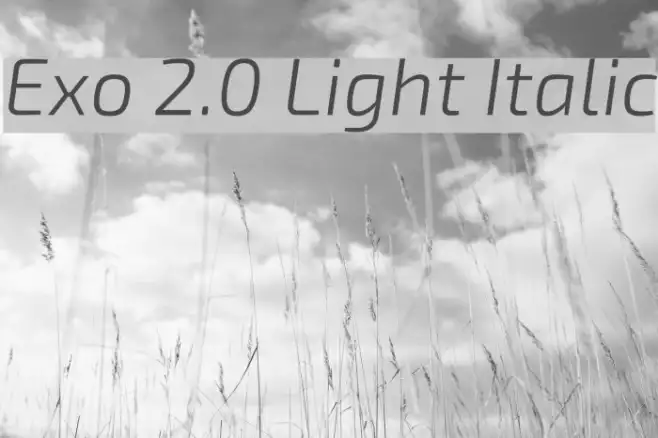 Exo 2.0 Light Italic Example 1