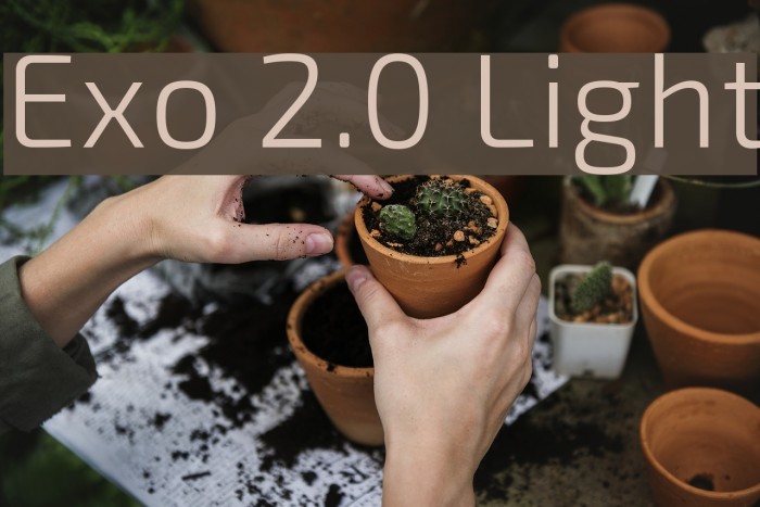 Exo 2.0 Light Font examples
